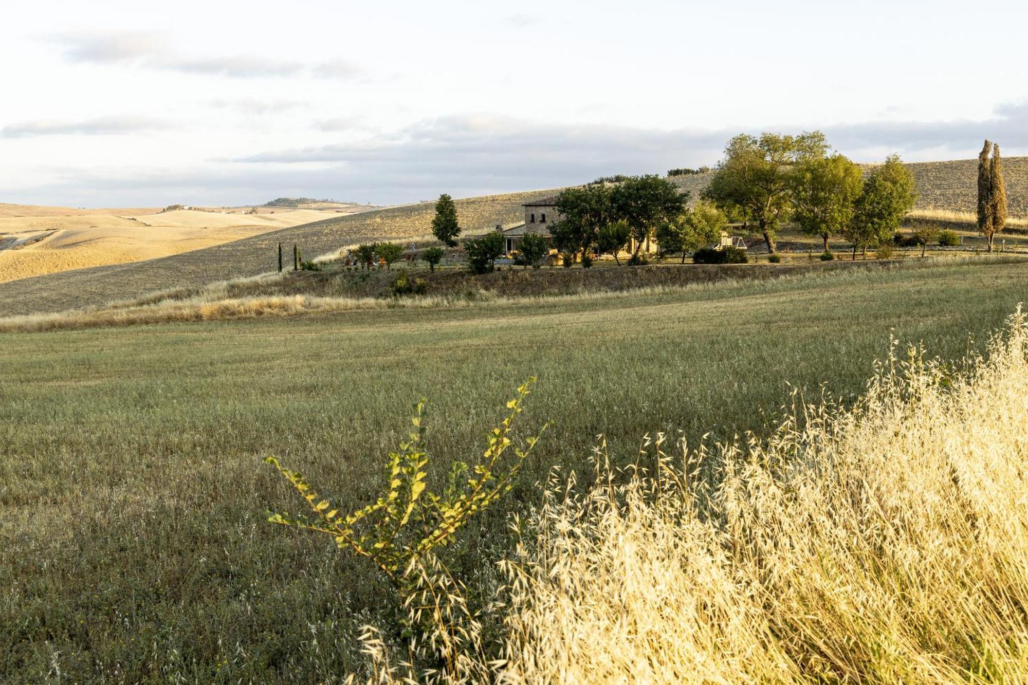 Vento D'Orcia Villa Pienza Exterior photo